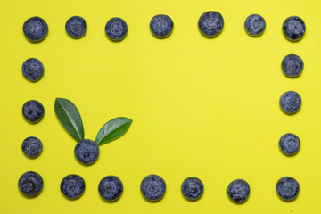 Fresh Organic Blueberries