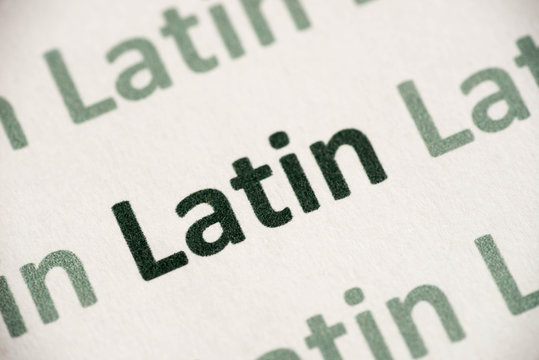 Word Latin Language Printed On Paper Macro