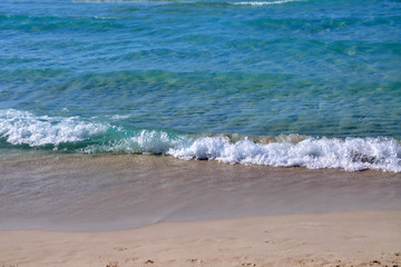 wave on a sandy beach in the turquoise ocean