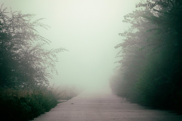 Obraz premium Mystical fog on a country road