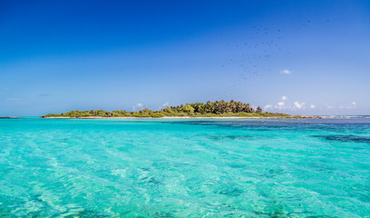 Contoy Island in Mexican Caribbean Sea
