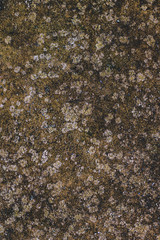 Old concrete surface