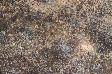 Old concrete surface