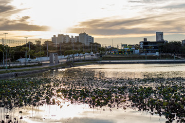 Parque das águas Cuiabá