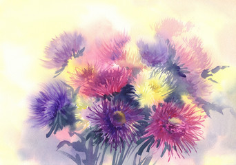 A bouquet of color asters watercolor background