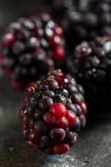 Frozen blackberry closeup