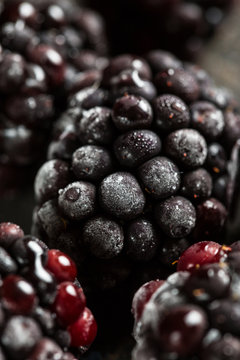 Frozen blackberry closeup