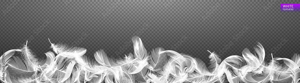 Wall mural falling twirled realistic feathers isolated on a transparent background. easy style, can be used in 