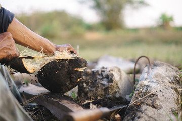 Fresh roasted coconut