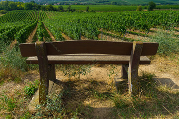 Sitzplatz im Wingert mit Blick auf Weinberge in Rheinhessen