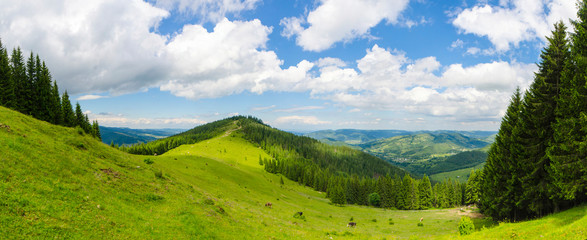 Carpathian hills