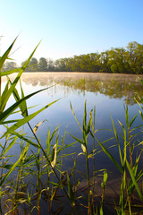 Fog in the morning above the water