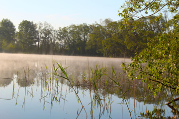Fog in the morning above the water