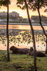 Water park, Cuiab&aacute; Brazil