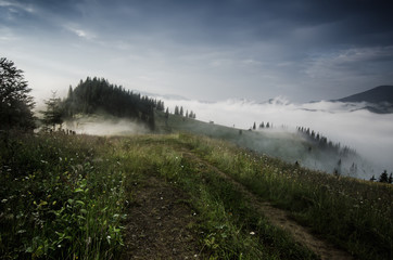 Foggy morning shiny summer landscape with mist and mountain road