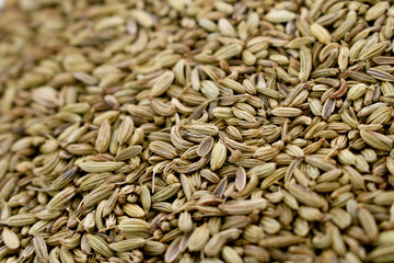 dried fennel seeds