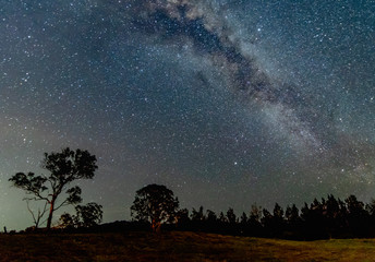 In the dark of the night the stars shone brightly © Merrillie
