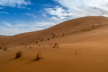 Fototapeta na wymiar Große Düne in Marokko
