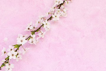 Naklejka na ściany i meble White apricot spring flowers on the grunge pink background with copyspace. Seasonal and greeting concept.