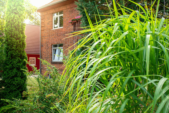 Wohnhaus aus Backstein im Sonnenuntergang mit Pflanzen im Garten
