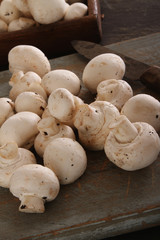 common mushrooms