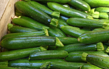 Close up fresh green zucchini on retail display