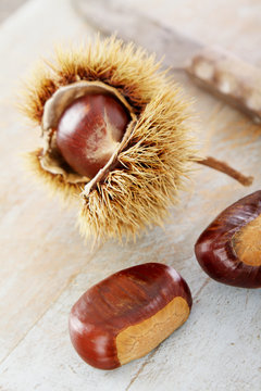whole chestnuts