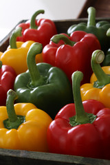 mixed bell peppers