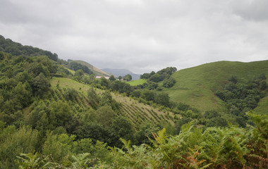 Paysage du pays basque