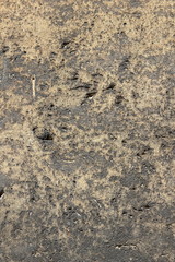 Texture of an old wall. Surface of an ancient temple in Prague. Background of stone for the designer. Vintage pattern in brown tones