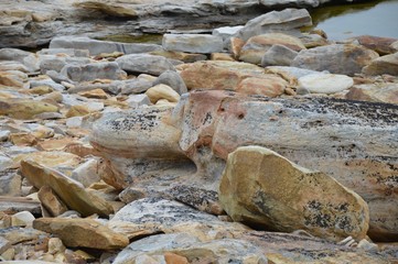 nord monstr4