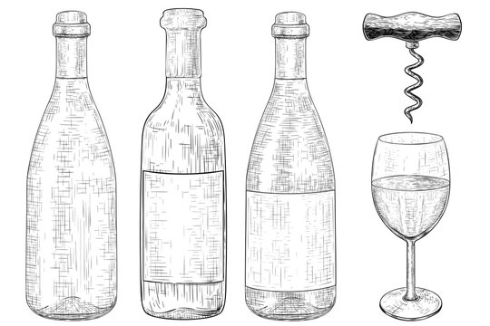 Bottles of wine set. Hand drawn sketch