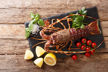 Gourmet food: raw spiny lobster or sea crawfish with ingredients for cooking close up on a table. Horizontal top view