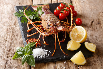 Gourmet food: raw spiny lobster or sea crawfish with ingredients for cooking close up on a table....