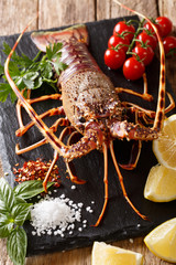 Preparation for cooking food spiny lobster or sea crayfish with fresh ingredients close-up on a table. vertical