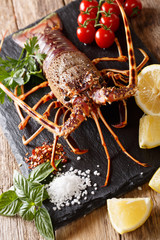 Luxurious Raw spiny lobster surrounded by fresh tomatoes, lemon, herbs and spices close-up. Vertical