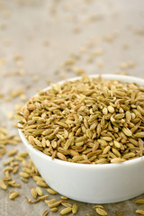 dried fennel seeds