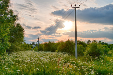 Fototapeta na wymiar Countryside landscape with forest, house and electric pole during sunset