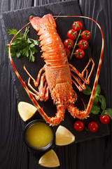 Luxurious boiled lobster surrounded by fresh tomatoes, lemon, herbs and melted butter close-up. Vertical top view