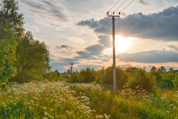 Fototapeta na wymiar Countryside landscape with forest, house and electric pole during sunset