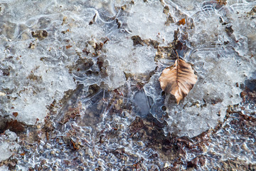 Eis und Blatt