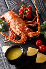 Luxurious boiled lobster surrounded by fresh tomatoes, lemon, herbs and melted butter close-up. vertical