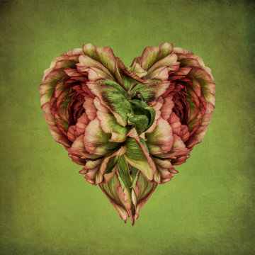 Heart made of flower petals on green