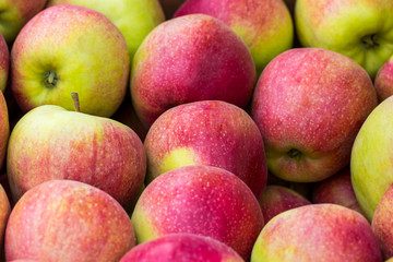 red apples green apples. Group of red apples