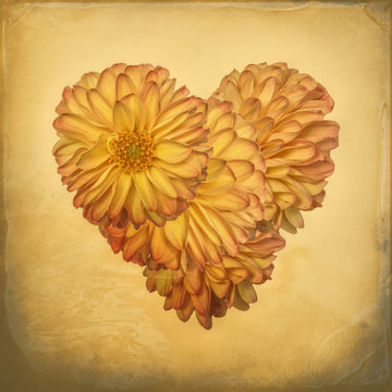 Flower Heart, heart-shaped flowers