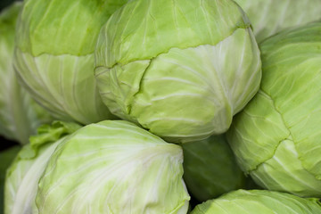 Green and white cabbage on the market