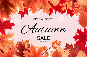 Abstract Vector Illustration Autumn Sale Background with Falling Autumn Leaves