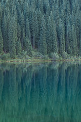 Obraz premium reflection of conifers in the water, summer landscape, Kazakhstan, Lake Kolsai