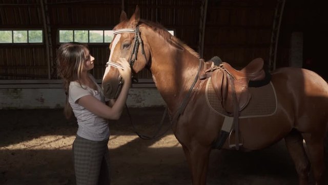 A young woman is caressing her horse