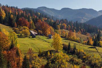 Obraz premium Colorful autumn landscape in the mountain village. Beautiful morning in the Carpathian mountains, Ukraine